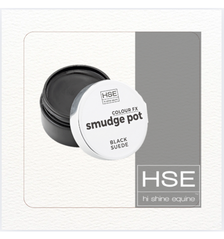 HSE SMUDGE POT MAKEUP