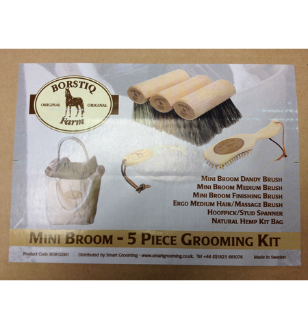 Borstiq Mini Broom Kit (5 piece)