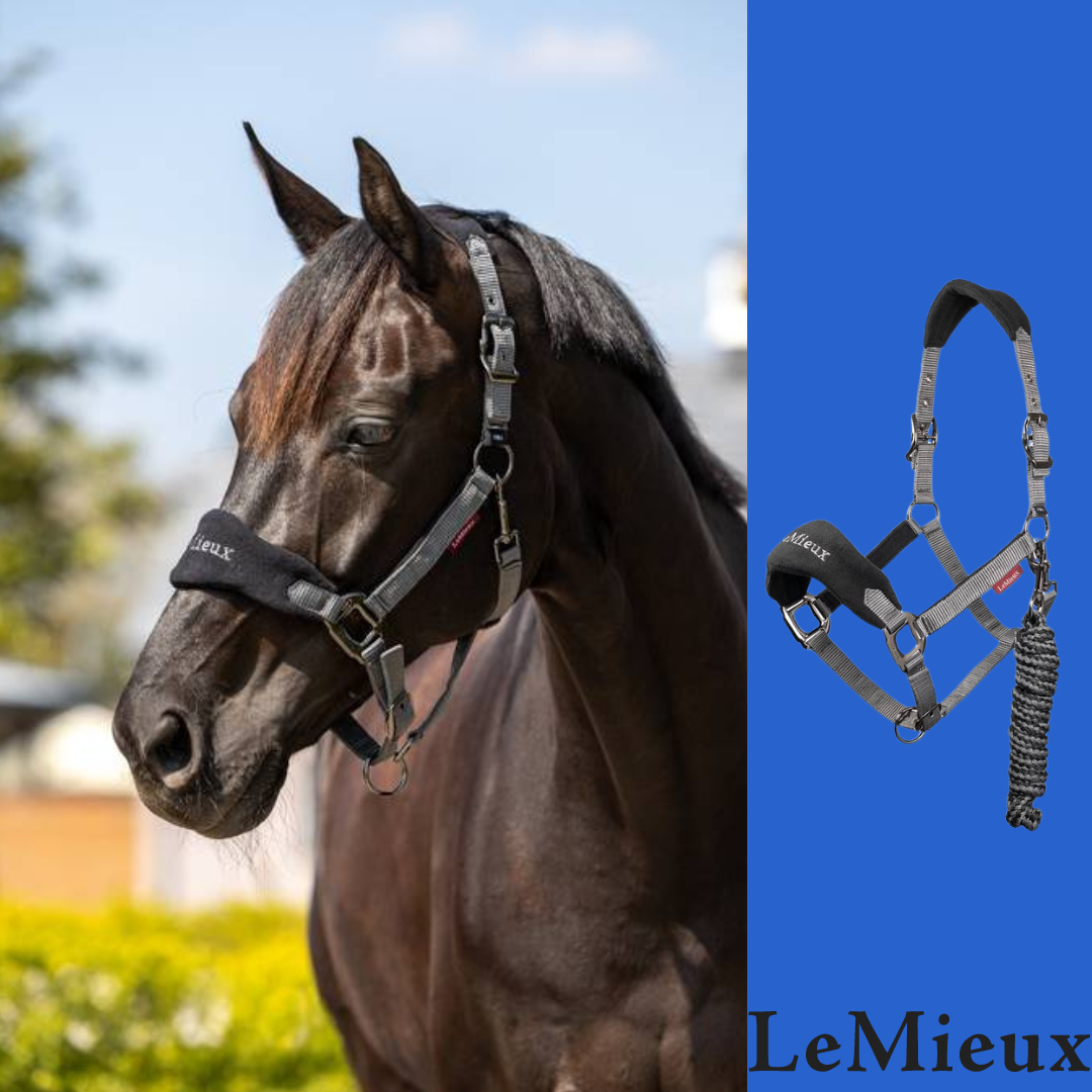 Le Mieux Vogue Fleece Halter And Lead Synthetic Headcollars Le Mieux