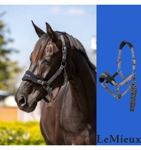 LE MIEUX VOGUE FLEECE HALTER AND LEAD - Halters & Leads-Halters : Spurs ...