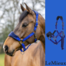 LE MIEUX VOGUE FLEECE HALTER AND LEAD