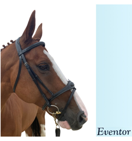 EVENTOR CROWN SNAFFLE BRIDLE