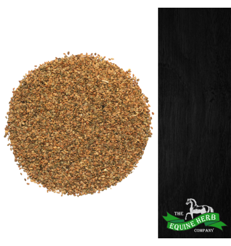 CELERY SEED 1KG