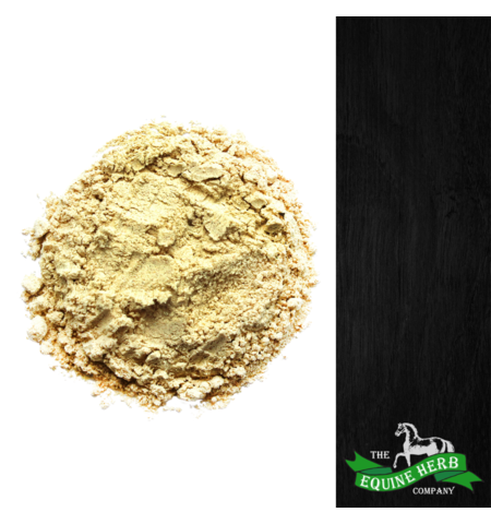 FENUGREEK - EQUINE HERB : Supplements & Treats-Supplements : Spurs