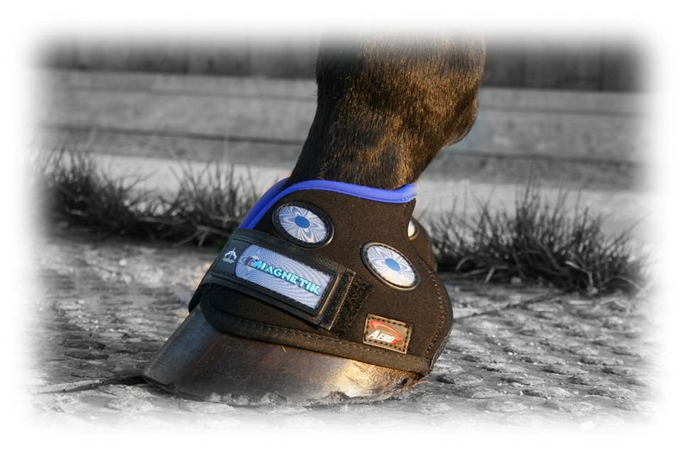 Veredus magnetik hoof clearance boots