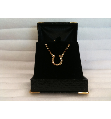 HORSESHOE WITH DIAMOND NECKLACE