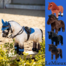 LE MIEUX TOY PONY