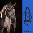 LE MIEUX ARIKA BRIDLE FLASH