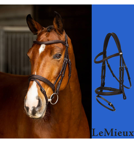 LE MIEUX ARIKA BRIDLE FLASH - Bridles & Reins-Bridles - Snaffle : Spurs ...