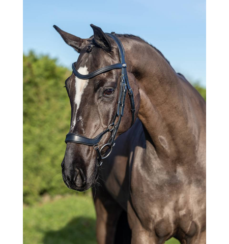 LE MIEUX ARIKA BRIDLE DROP NOSEBAND