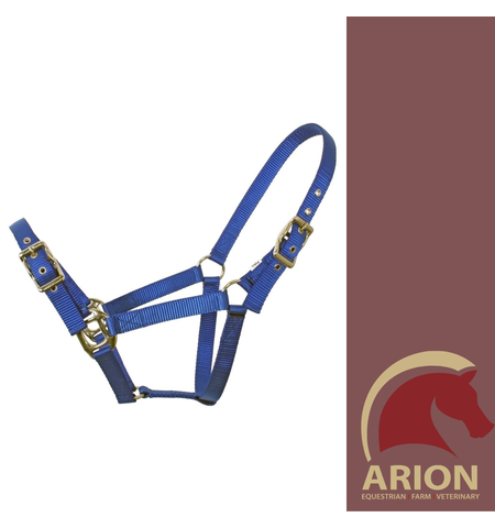 FLAIR HEAVY DUTY WEB HALTER